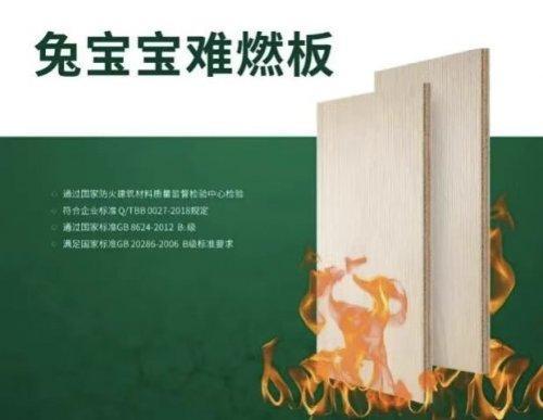 行业首张！兔宝宝获“燃烧性能分级难燃B1级”权威认证(图2)