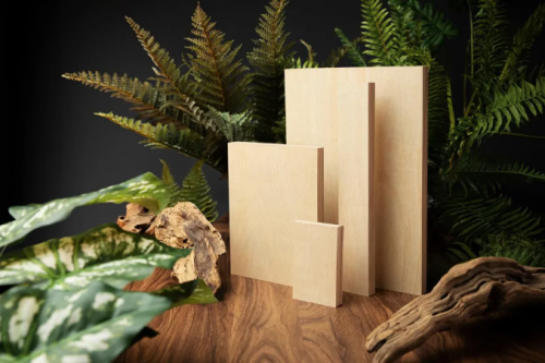 斩获多项重量级大奖兔宝宝以绿色创新筑起“好房子”家装新标准(图4)