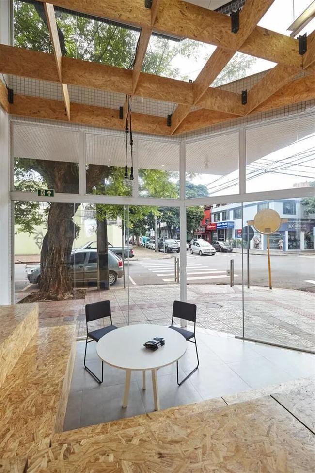 万年树丨抗变形实木 OSB 全维度升级定义家居板材新高度！(图2)