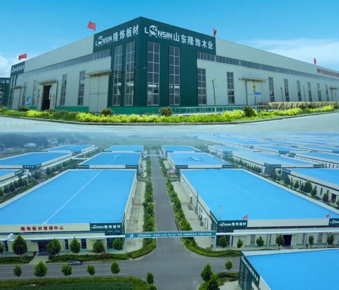 隆饰潮装板材荣登“2025中国制造·消费者信赖品牌”年度榜单(图4)