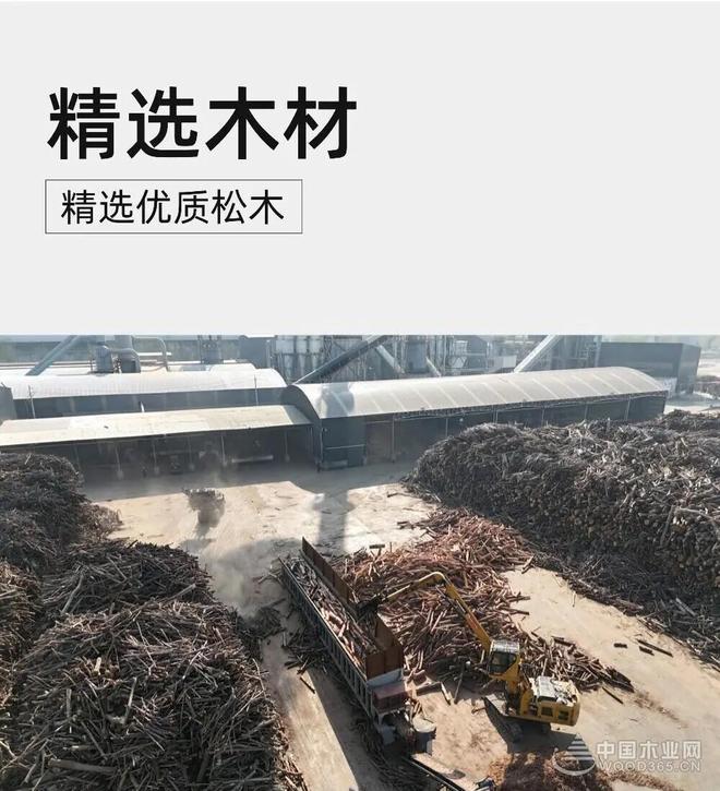 守自然本真 造人居之美 汇海亚森优质全松FOSB解锁基材新高度(图2)