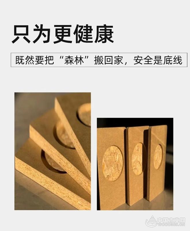 守自然本真 造人居之美 汇海亚森优质全松FOSB解锁基材新高度(图4)