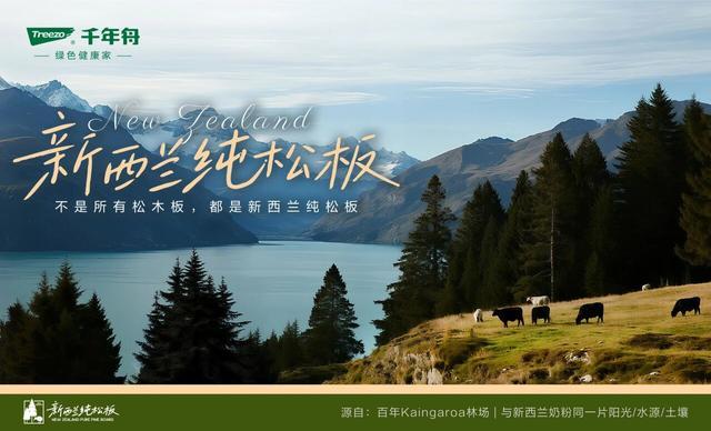 千年舟田茂华：以前沿探索驱动板材行业高质量发展引擎(图4)