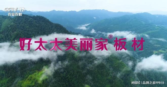 权威背书 荣耀绽放！好太太美丽家荣登央视双频道展播(图4)