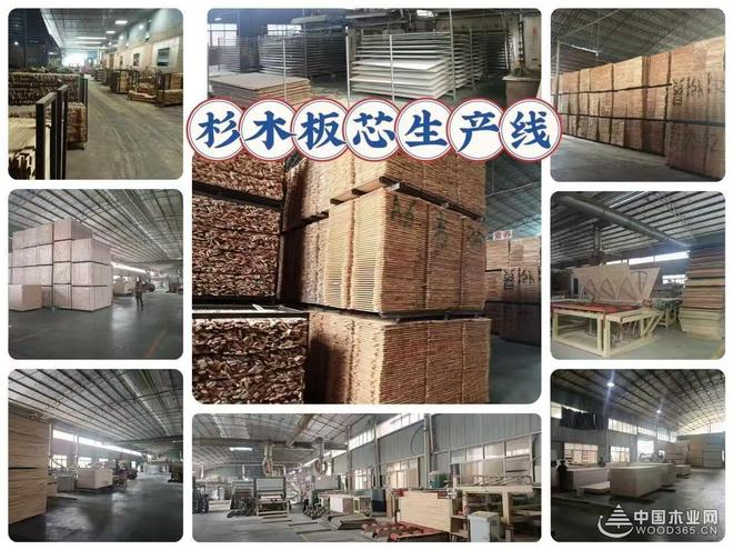 品质溯源 杰业板材华东总代团队探访生产基地(图3)