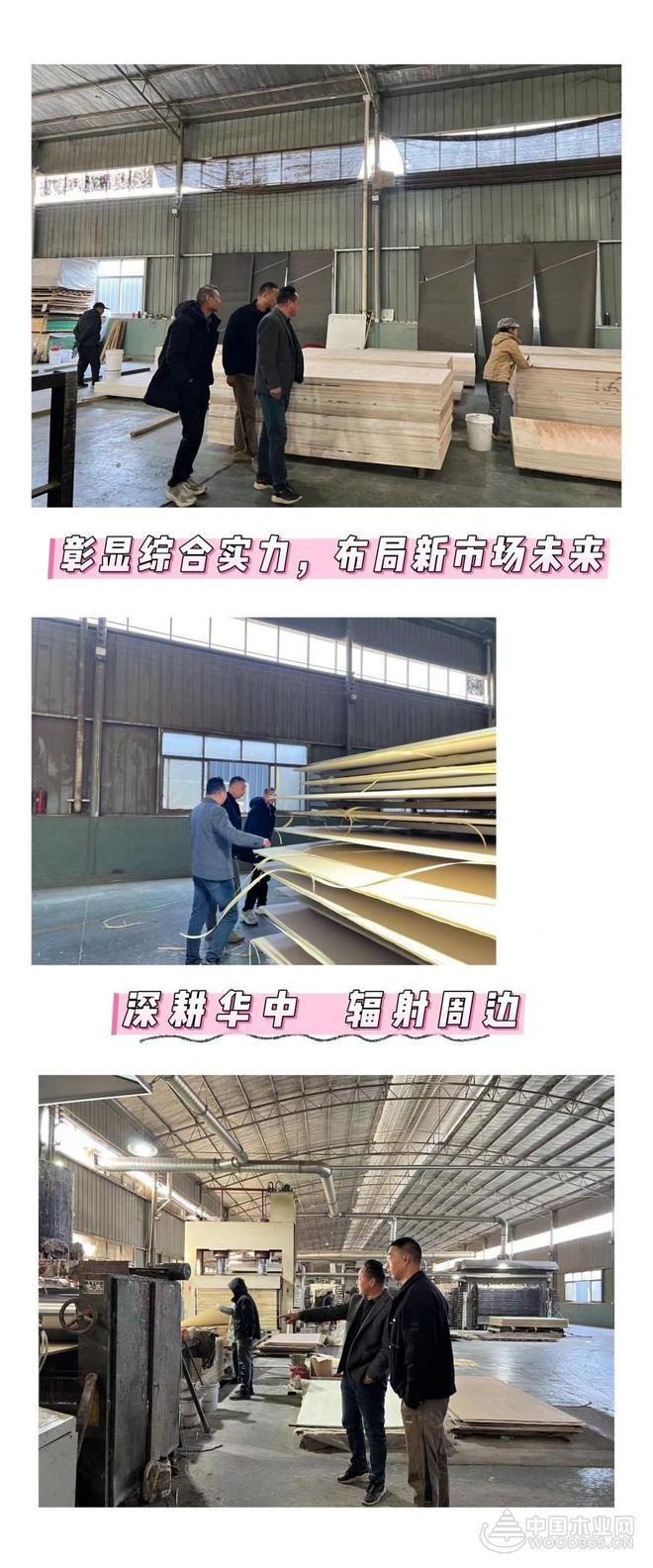 品质溯源 杰业板材华东总代团队探访生产基地(图4)