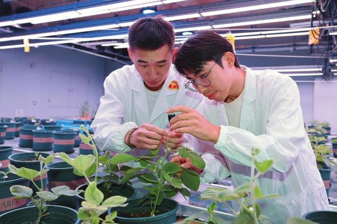 宿州市埇桥区：一座皖北城区 何以三度入围全国百强？(图2)