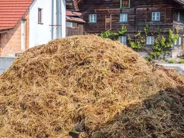 纸壳箱原料靠谱的厂家(图4)