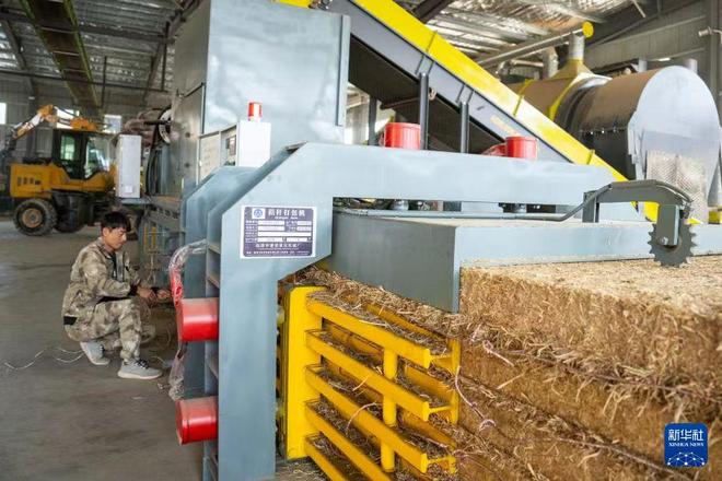 植物纤维提取技术哪家强？揭秘物理法背后的专业厂家(图5)