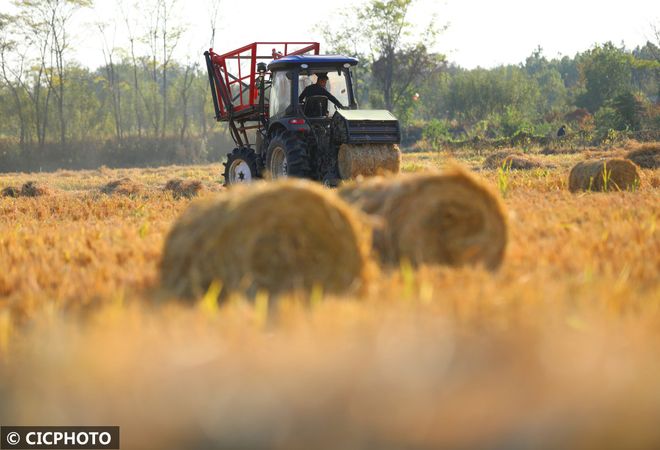 植物纤维提取技术哪家强？揭秘物理法背后的专业厂家