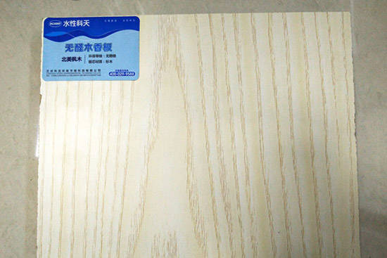 聚势渝州共力突围 2026金利源发展峰会圆满收官调研赋能同步启航锚定新征程共赢新未来！