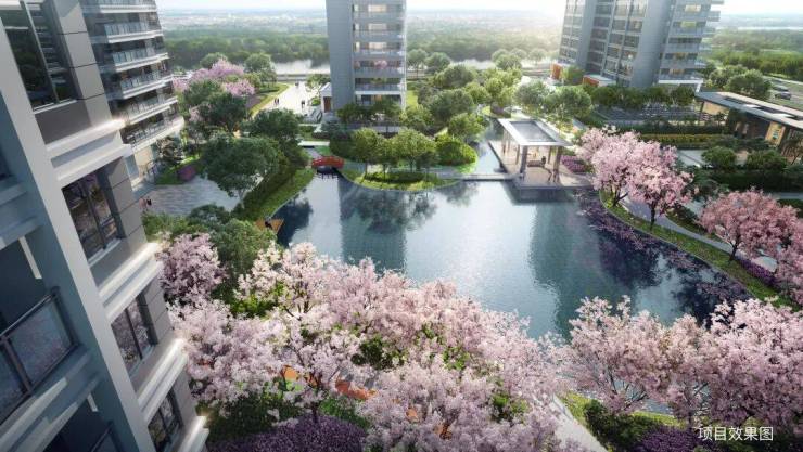 苏州和风雅信售楼处电线小时热线高铁新城和风雅信楼盘测评+最新动态(图6)