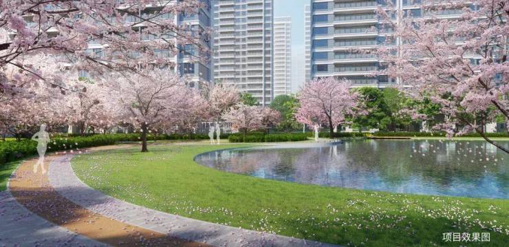 苏州和风雅信售楼处电线小时热线高铁新城和风雅信楼盘测评+最新动态(图7)