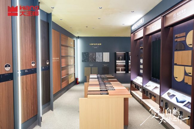 开展首日排长队一个板材品牌凭什么引爆广州定制家居展？(图6)