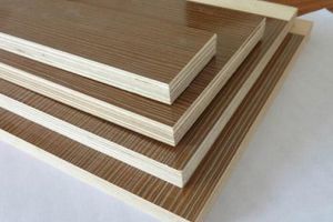 “绿美广东”循环发展走在前