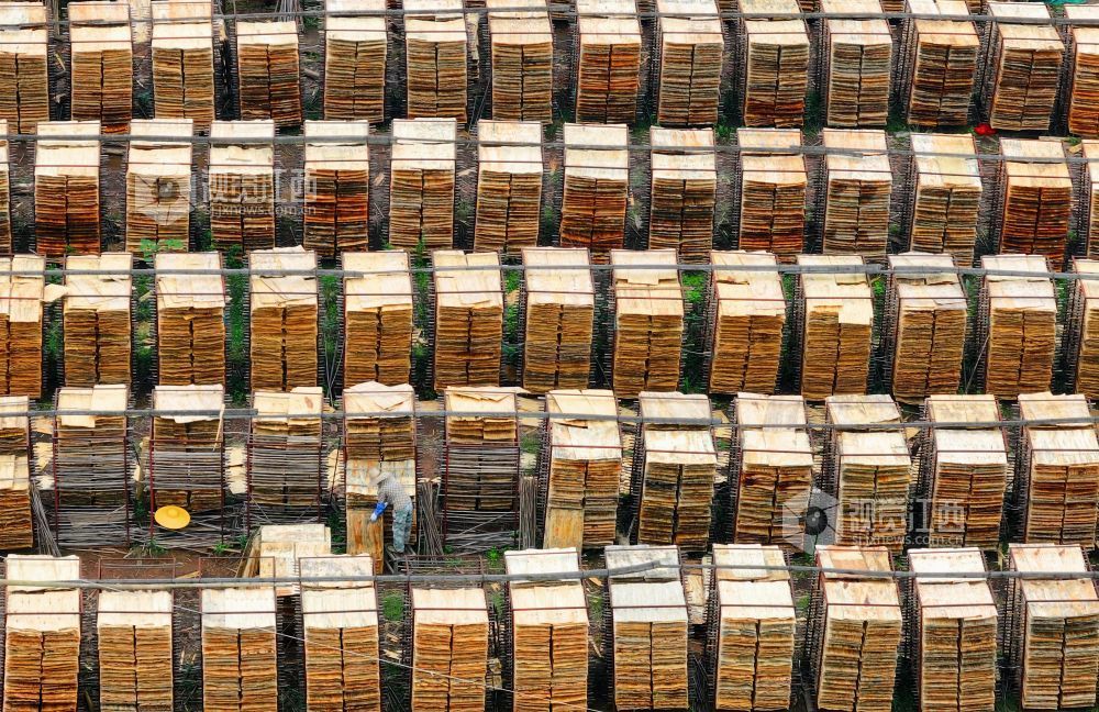 泰和县：晾晒板材（图）(图2)