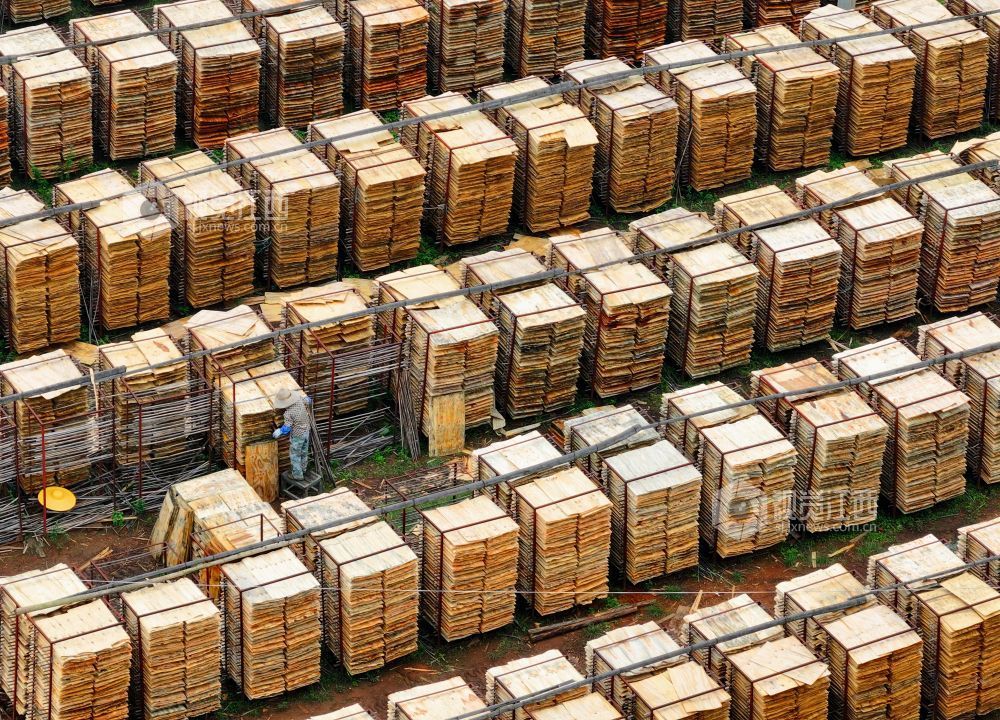 泰和县：晾晒板材（图）(图3)