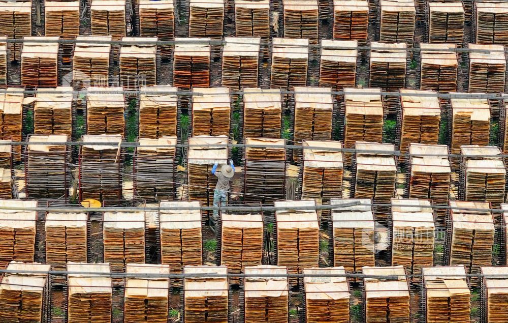 泰和县：晾晒板材（图）(图5)