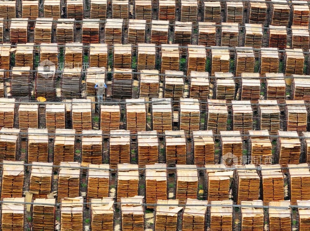 泰和县：晾晒板材（图）(图4)