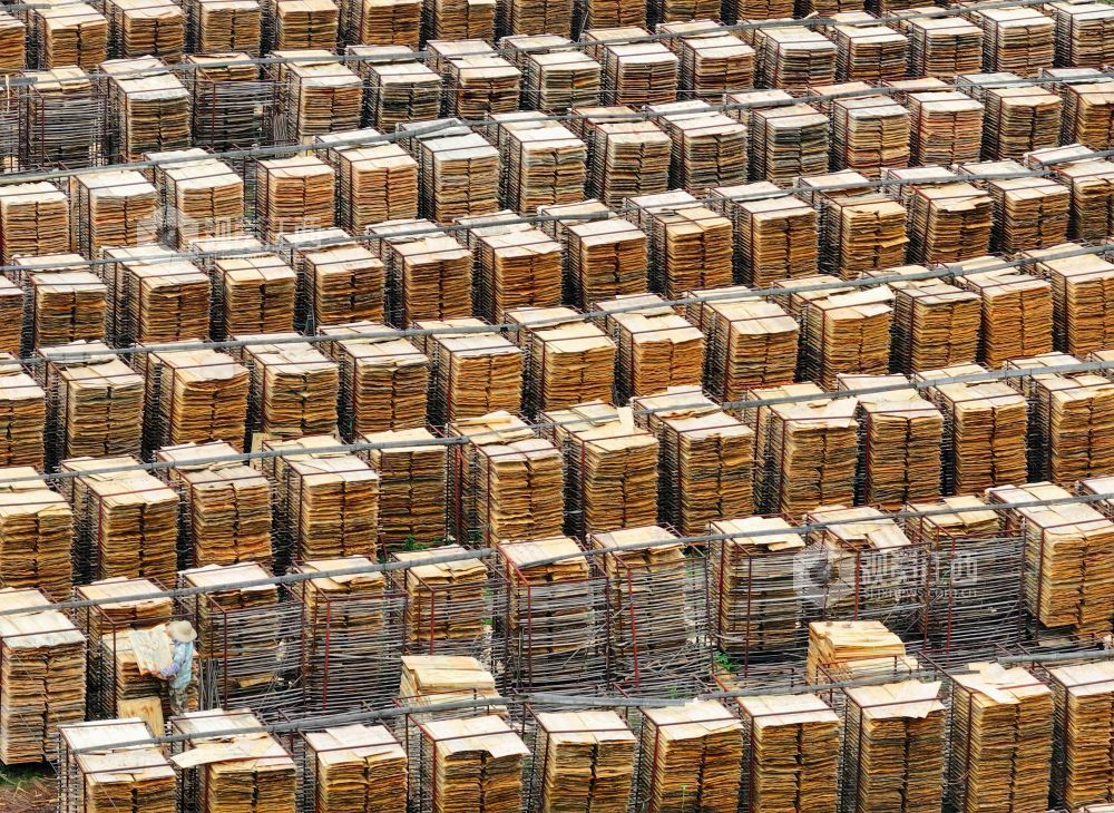 泰和县：晾晒板材（图）(图6)